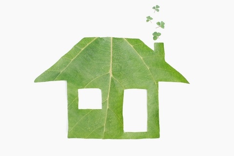 Eco-friendly home improvement projects